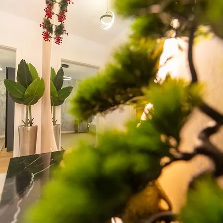 Golden Luxury Daire Braşov